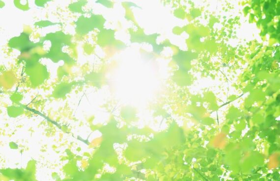 大分市でお風呂のリフォームをお考えなら見てください♪